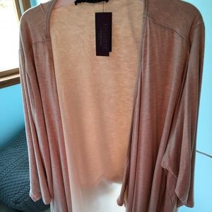 Tan Sweater (Lane Bryant) with sheer bottom